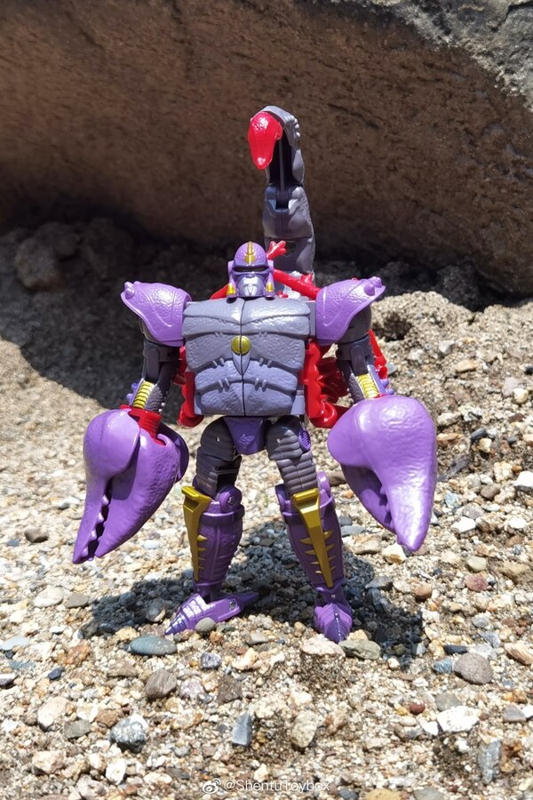 kingdom scorponok review